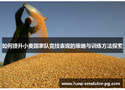 如何提升小麦国家队竞技表现的策略与训练方法探索