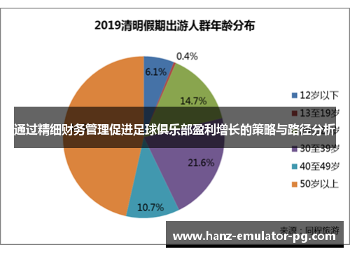 通过精细财务管理促进足球俱乐部盈利增长的策略与路径分析
