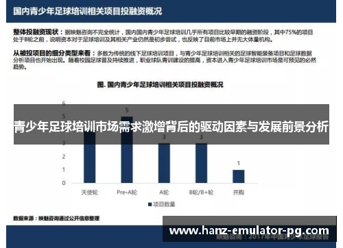 青少年足球培训市场需求激增背后的驱动因素与发展前景分析 青少年足球培训市场需求激增背后的驱动因素与发展前景分析