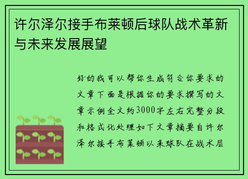 许尔泽尔接手布莱顿后球队战术革新与未来发展展望